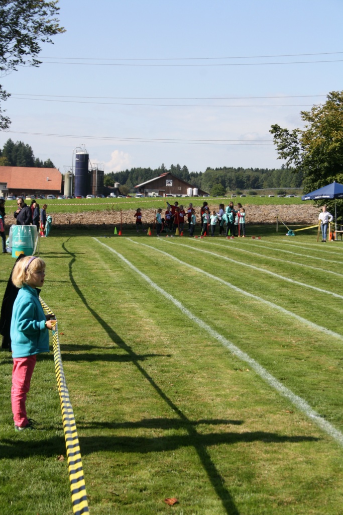 Bild 1 (85)